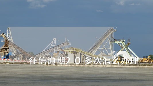 征信逾期20多次怎么办理 征信逾期20多次怎么办理