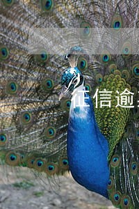 征信逾期20多次怎么消除 征信逾期20多次怎么消除