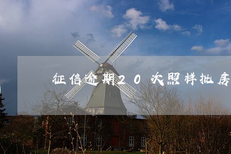 征信逾期20次照样批房贷 征信逾期20次照样批房贷