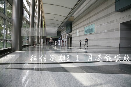 征信逾期21月还能贷款 征信逾期21月还能贷款