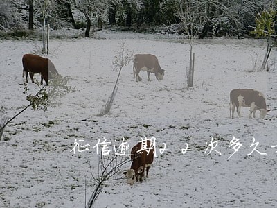 征信逾期22次多久才能消除 征信逾期22次多久才能消除