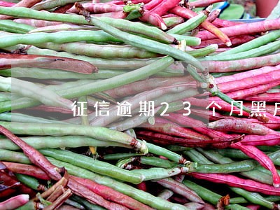 征信逾期23个月黑户吗 征信逾期23个月黑户吗