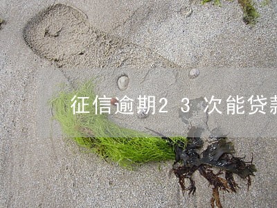 征信逾期23次能贷款吗