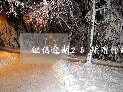 征信逾期28期有什么后果 征信逾期28期有什么后果