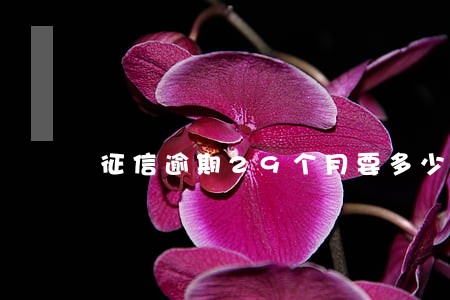 征信逾期29个月要多少时间恢复 征信逾期29个月要多少时间恢复