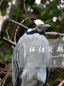 征信逾期2个90天会怎么样 征信逾期2个90天会怎么样
