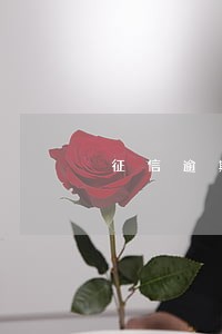 征信逾期2个月可以贷款买车吗 征信逾期2个月可以贷款买车吗