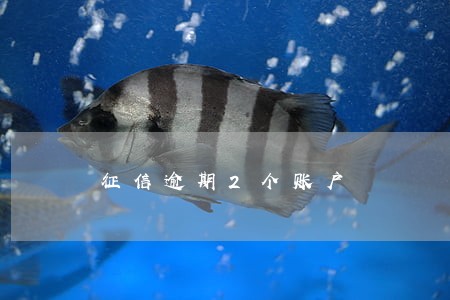 征信逾期2个账户 征信逾期2个账户