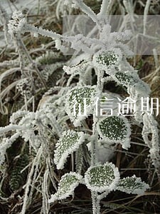征信逾期2天多久能恢复 征信逾期2天多久能恢复