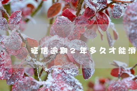 征信逾期2年多久才能消除 征信逾期2年多久才能消除