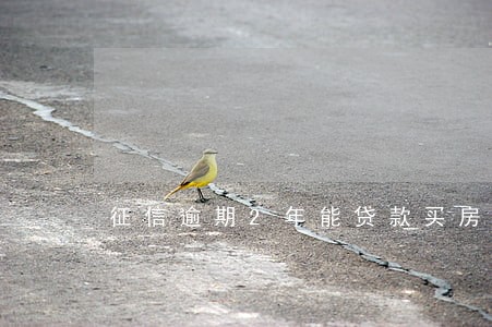 征信逾期2年能贷款买房 征信逾期2年能贷款买房