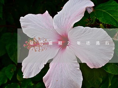 征信逾期2年还清后