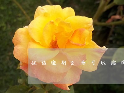 征信逾期2条可以按揭吗 征信逾期2条可以按揭吗