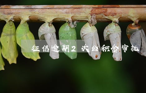 征信逾期2次公积金审批 征信逾期2次公积金审批