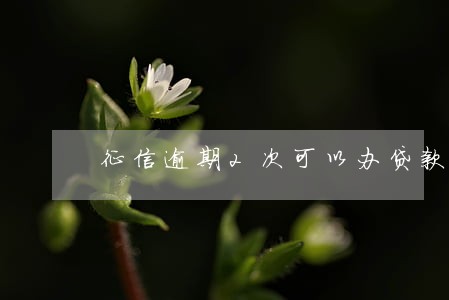 征信逾期2次可以办贷款么