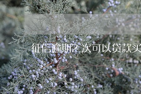 征信逾期2次可以贷款买车吗 征信逾期2次可以贷款买车吗