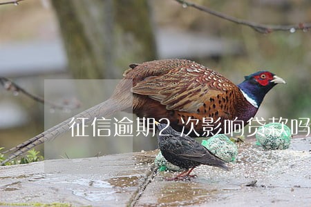 征信逾期2次影响贷款吗 征信逾期2次影响贷款吗