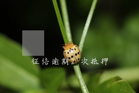 征信逾期2次抵押 征信逾期2次抵押