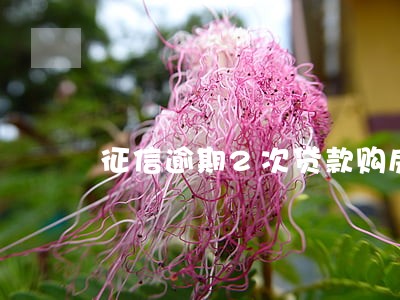 征信逾期2次贷款购房