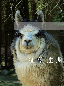 征信逾期30万借款 征信逾期30万借款