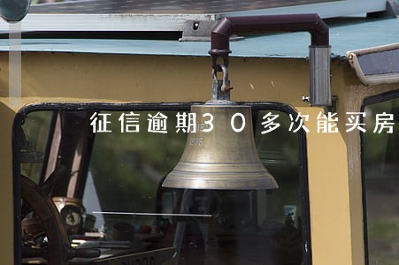 征信逾期30多次能买房吗