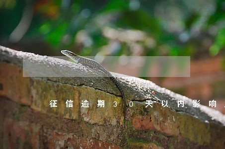 征信逾期30天以内影响房贷么 征信逾期30天以内影响房贷么
