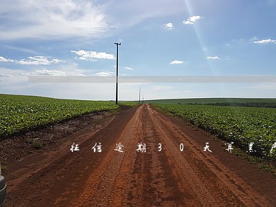 征信逾期30天算黑户吗 征信逾期30天算黑户吗