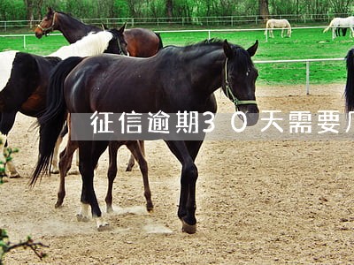 征信逾期30天需要几年能恢复 征信逾期30天需要几年能恢复
