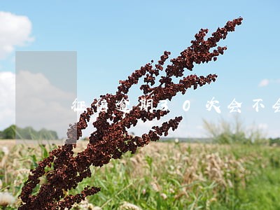 征信逾期30次会不会是老赖 征信逾期30次会不会是老赖