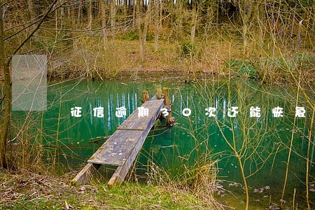 征信逾期30次还能恢复