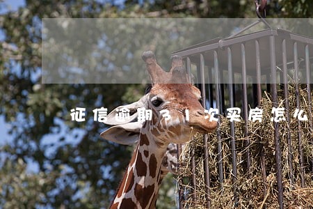 征信逾期31次买房怎么办 征信逾期31次买房怎么办