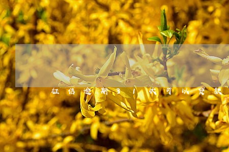 征信逾期31次可以贷款吗 征信逾期31次可以贷款吗