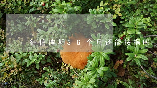 征信逾期36个月还能按揭吗 征信逾期36个月还能按揭吗