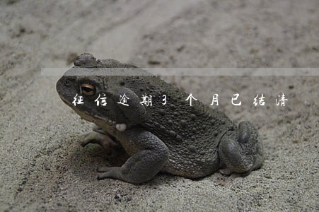 征信逾期3个月已结清 征信逾期3个月已结清