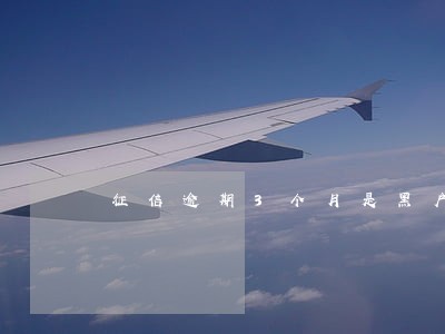 征信逾期3个月是黑户吗 征信逾期3个月是黑户吗