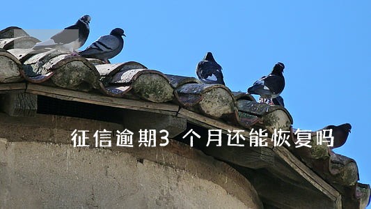 征信逾期3个月还能恢复吗 征信逾期3个月还能恢复吗