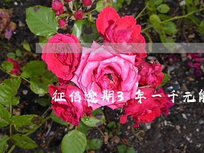 征信逾期3年一千元能贷款吗 征信逾期3年一千元能贷款吗