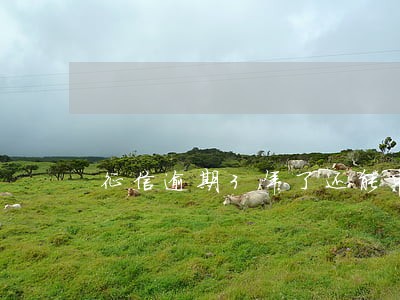 征信逾期3年了还能申请信用卡吗
