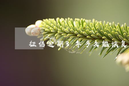 征信逾期3年多久能恢复 征信逾期3年多久能恢复