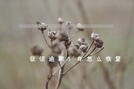 征信逾期3年怎么恢复 征信逾期3年怎么恢复