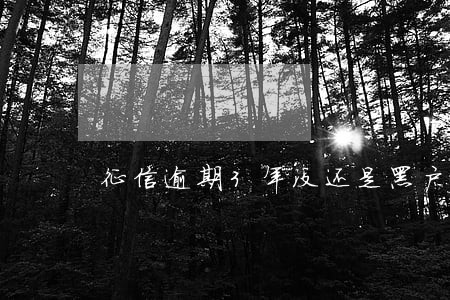 征信逾期3年没还是黑户吗 征信逾期3年没还是黑户吗