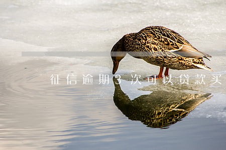 征信逾期3次可以贷款买车吗 征信逾期3次可以贷款买车吗