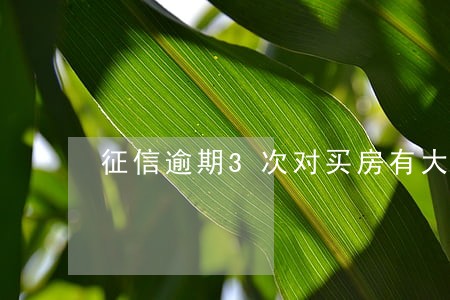 征信逾期3次对买房有大影响吗 征信逾期3次对买房有大影响吗