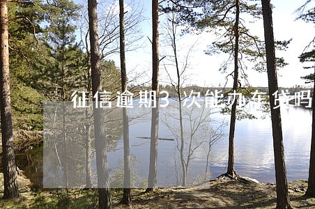 征信逾期3次能办车贷吗 征信逾期3次能办车贷吗