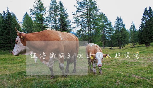 征信逾期3次还可以担保吗 征信逾期3次还可以担保吗