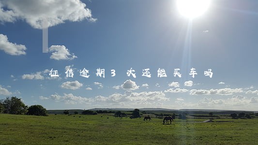 征信逾期3次还能买车吗 征信逾期3次还能买车吗
