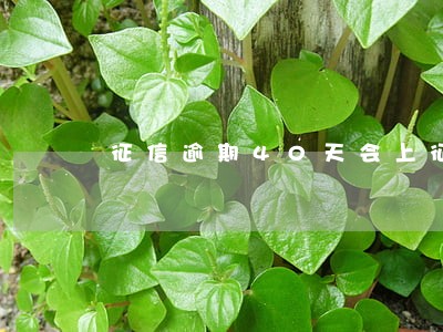 征信逾期40天会上征信吗 征信逾期40天会上征信吗