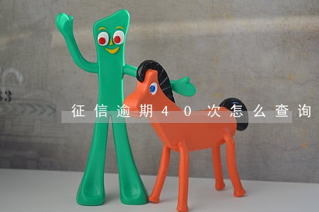 征信逾期40次怎么查询 征信逾期40次怎么查询