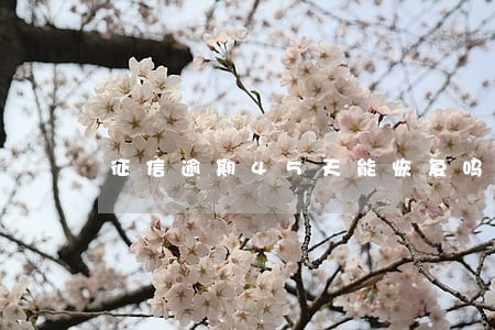征信逾期45天能恢复吗 征信逾期45天能恢复吗