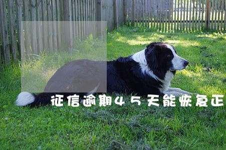 征信逾期45天能恢复正常吗 征信逾期45天能恢复正常吗